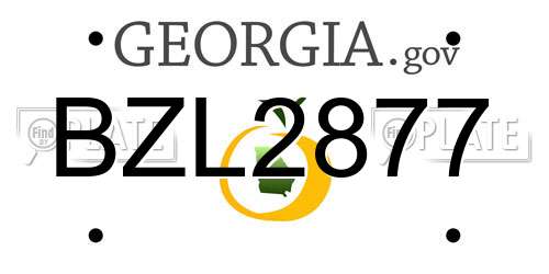 BZL2877 Georgia License Plate