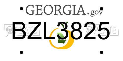 BZL3825 Georgia License Plate