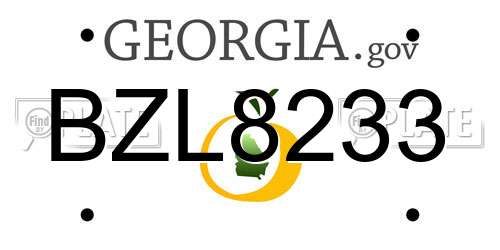 BZL8233 Georgia License Plate