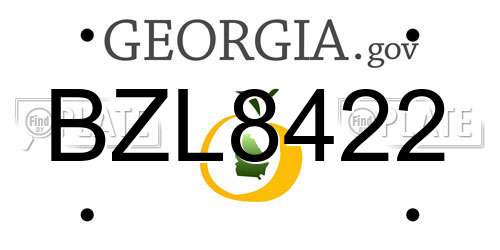 BZL8422 Georgia License Plate