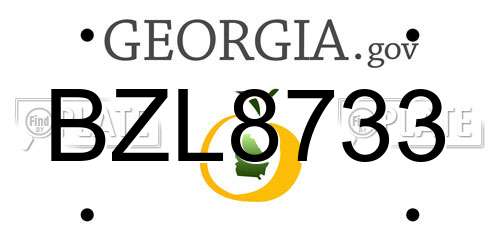 BZL8733 Georgia License Plate