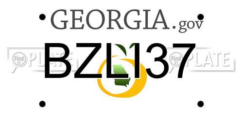 BZLI37 Georgia License Plate