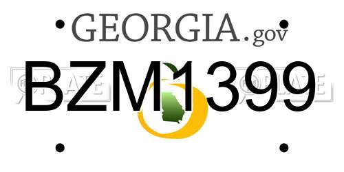 BZM1399 Georgia License Plate