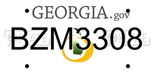 BZM3308 Georgia License Plate