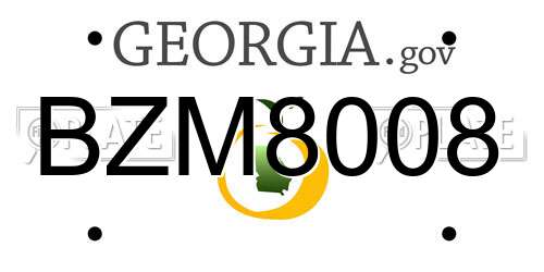 BZM8008 Georgia License Plate