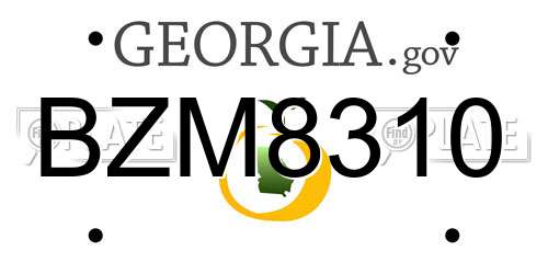 BZM8310 Georgia License Plate