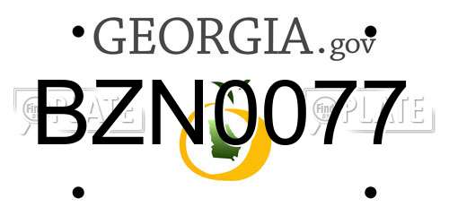 BZN0077 Georgia License Plate