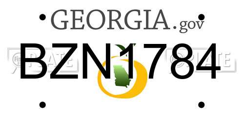 BZN1784 Georgia License Plate