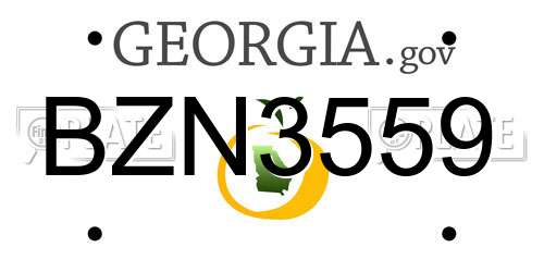 BZN3559 Georgia License Plate
