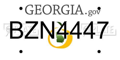 BZN4447 Georgia License Plate
