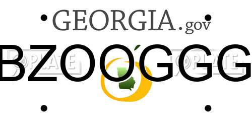 BZOOGGG Georgia License Plate