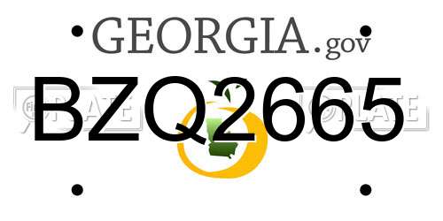 BZQ2665 Georgia License Plate