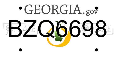 BZQ6698 Georgia License Plate