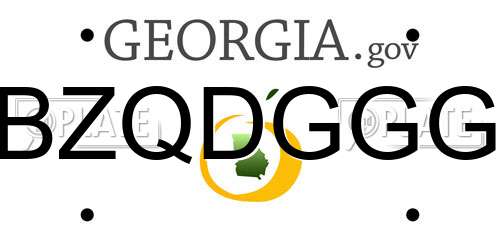 BZQDGGG Georgia License Plate