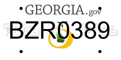 BZR0389 Georgia License Plate