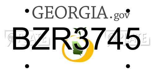 BZR3745 Georgia License Plate