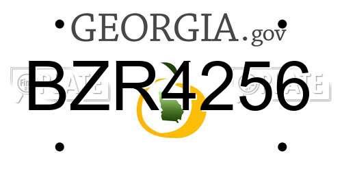 BZR4256 Georgia License Plate
