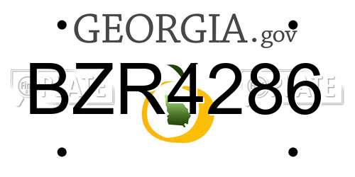 BZR4286 Georgia License Plate