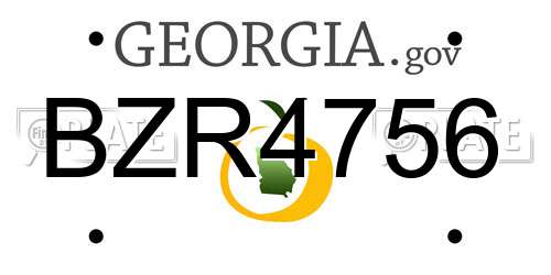BZR4756 Georgia License Plate