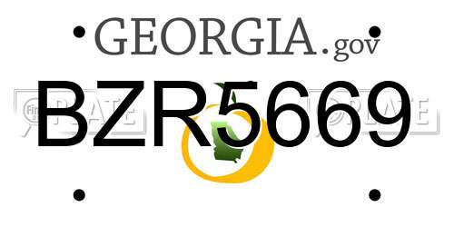 BZR5669 Georgia License Plate