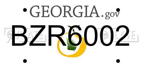 BZR6002 Georgia License Plate
