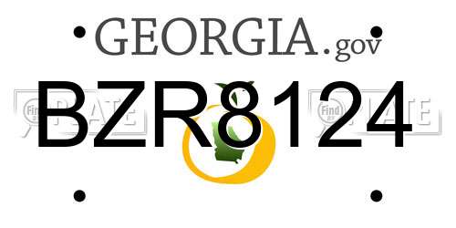 BZR8124 Georgia License Plate