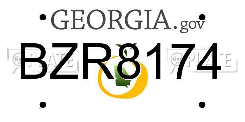 BZR8174 Georgia License Plate