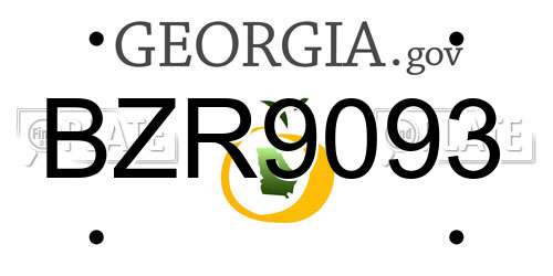 BZR9093 Georgia License Plate