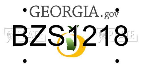 BZS1218 Georgia License Plate