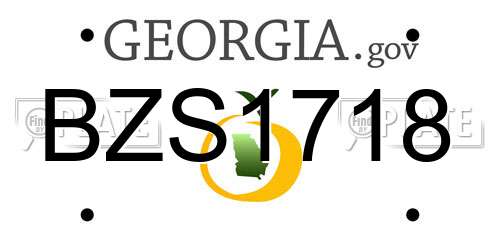 BZS1718 Georgia License Plate
