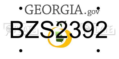 BZS2392 Georgia License Plate