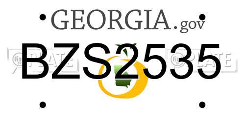 BZS2535 Georgia License Plate
