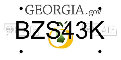 BZS43K Georgia License Plate
