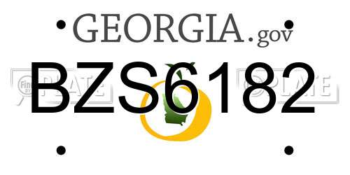 BZS6182 Georgia License Plate