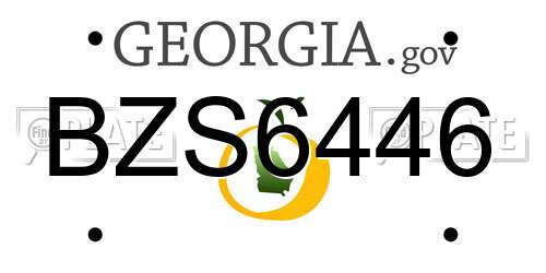 BZS6446 Georgia License Plate