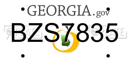 BZS7835 Georgia License Plate