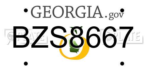 BZS8667 Georgia License Plate
