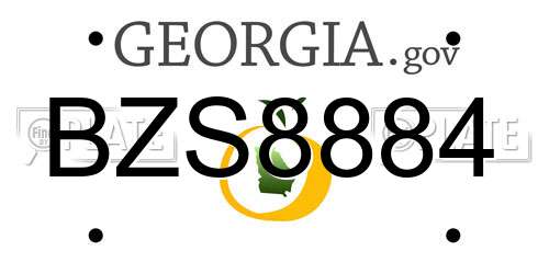 BZS8884 Georgia License Plate