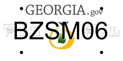BZSM06 Georgia License Plate
