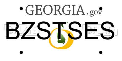 BZSTSES Georgia License Plate