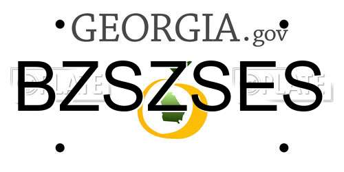 BZSZSES Georgia License Plate