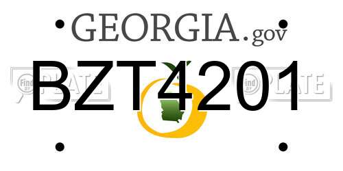 BZT4201 Georgia License Plate