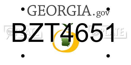BZT4651 Georgia License Plate