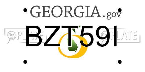 BZT59I Georgia License Plate