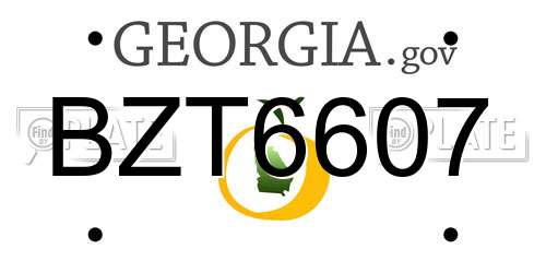 BZT6607 Georgia License Plate