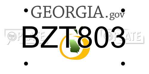 BZT803 Georgia License Plate