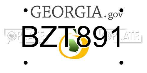 BZT891 Georgia License Plate