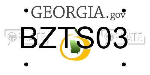 BZTS03 Georgia License Plate