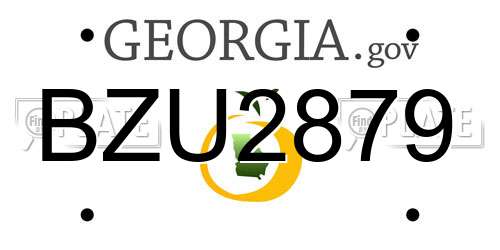 BZU2879 Georgia License Plate
