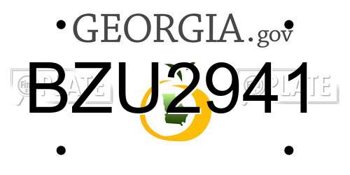 BZU2941 Georgia License Plate